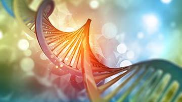 DNA链上的生物学图像